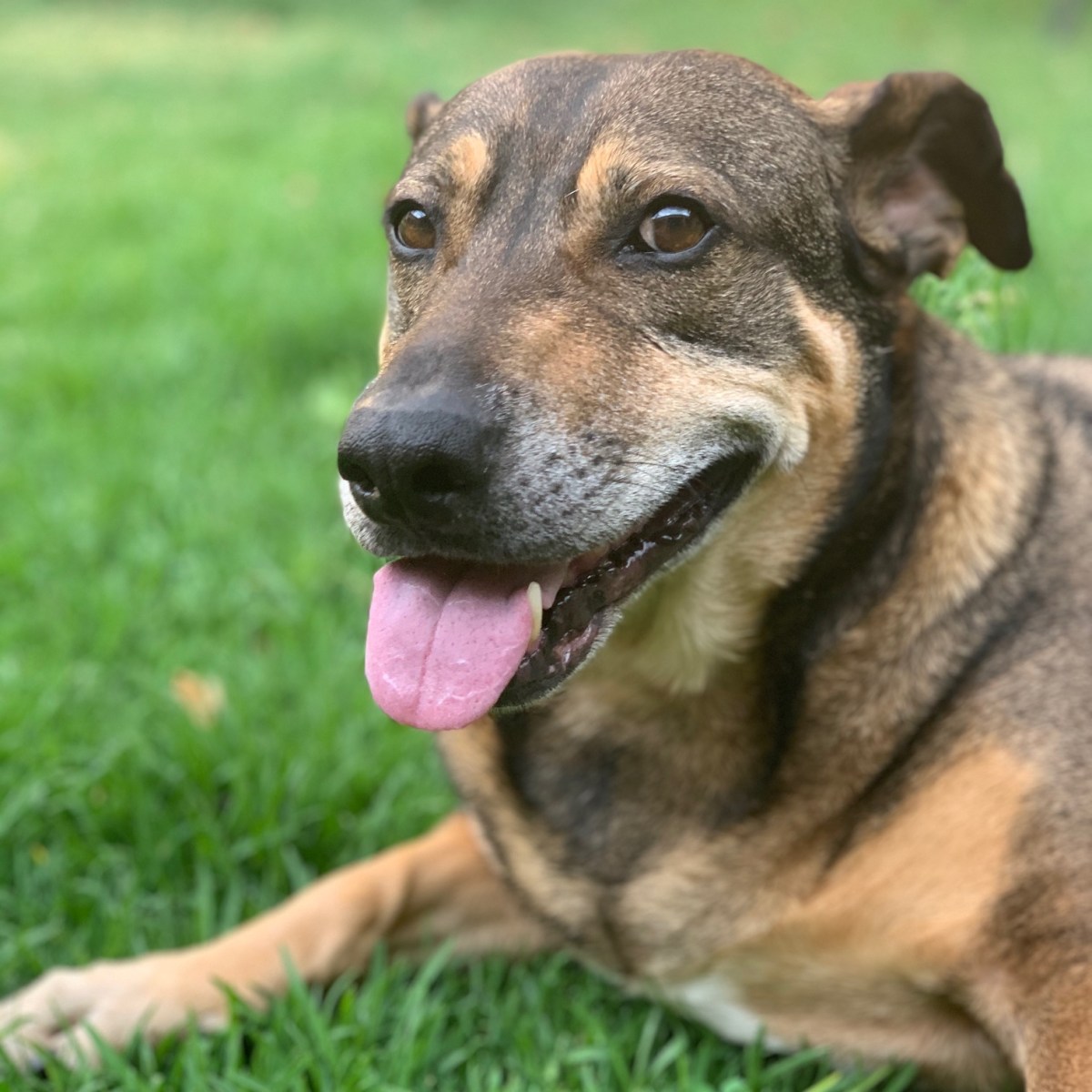 The results are&nbsp;in…