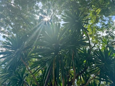 On confetti and&nbsp;dancing.