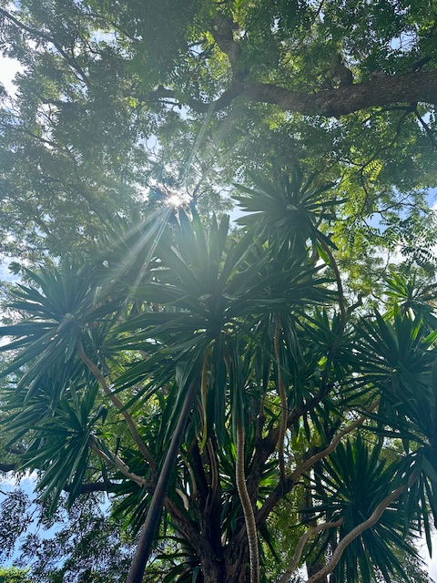 On confetti and&nbsp;dancing.